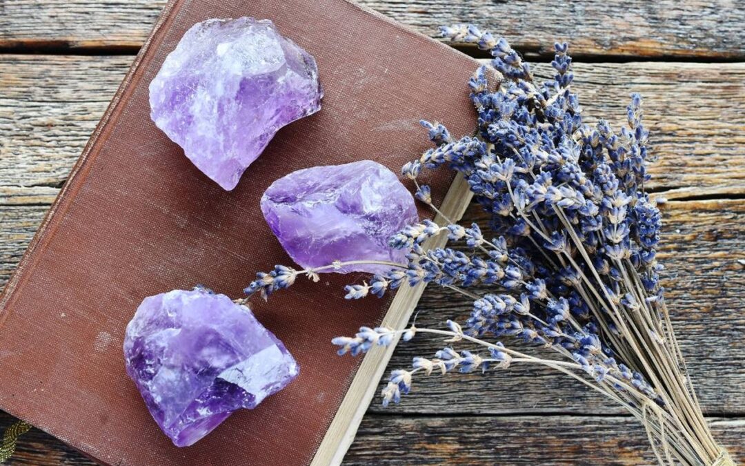 Maecenas laoreet sapien